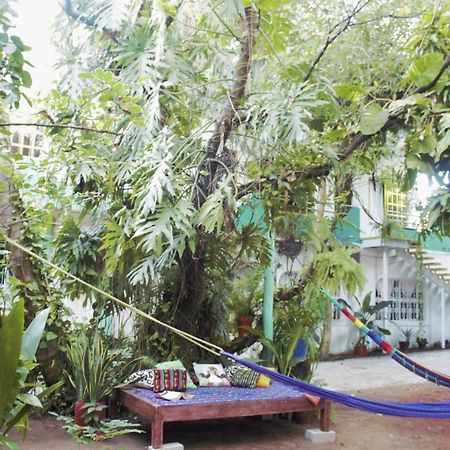 ホテル Casa Santaella プエルト・エスコンディード エクステリア 写真