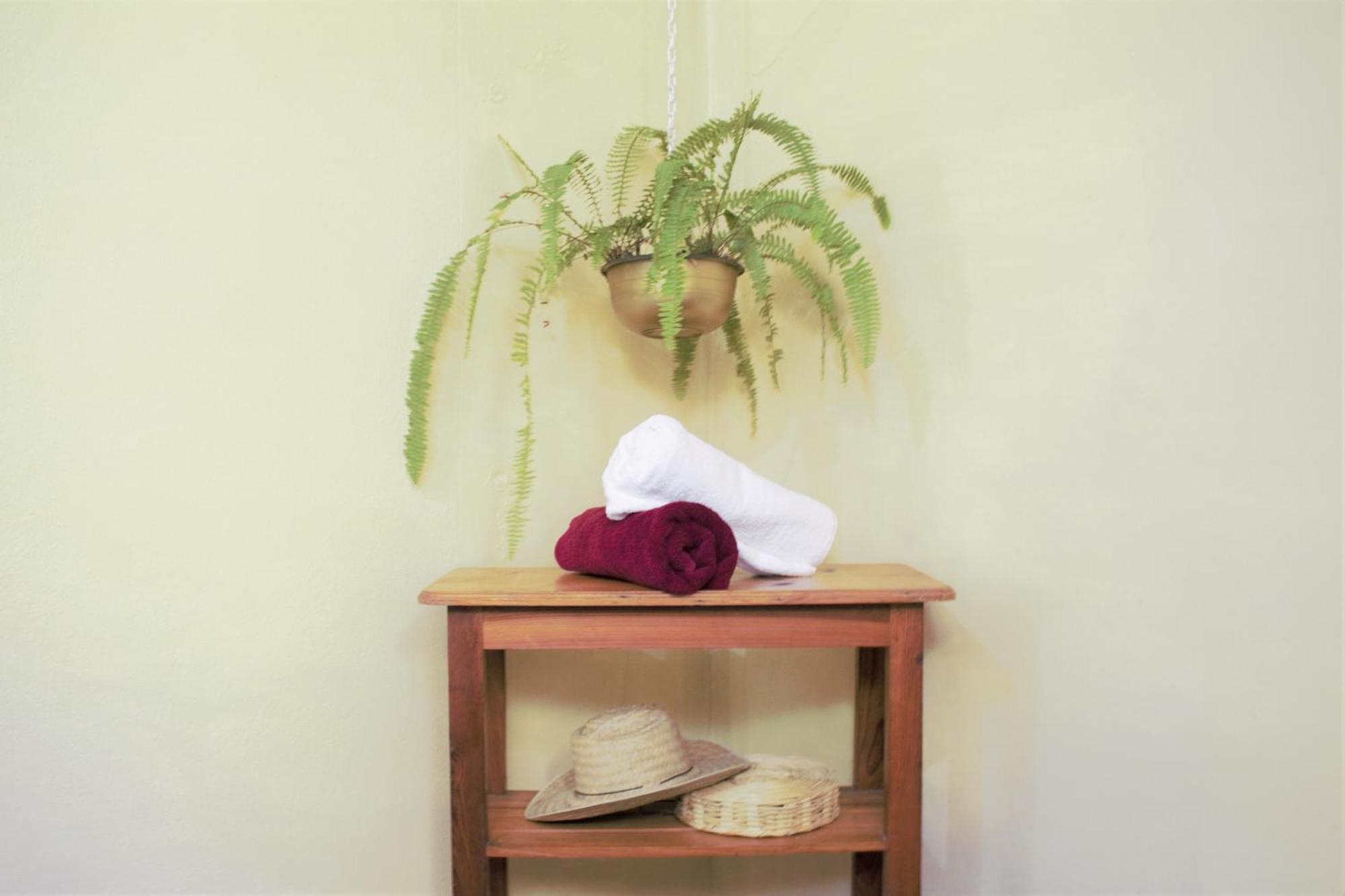 ホテル Casa Santaella プエルト・エスコンディード 部屋 写真